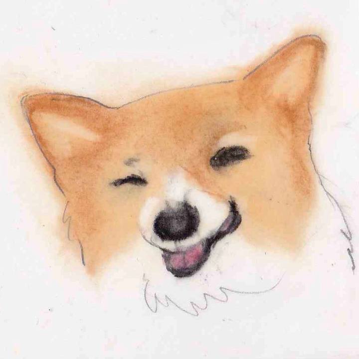 3de5e304 2f4e 458f 8464 cb7c94d52722 1634033510743