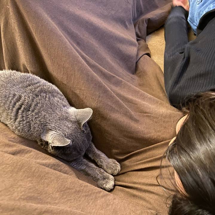 3de5e4f0 61b6 4752 9df6 40938dd80d62 1606009401985