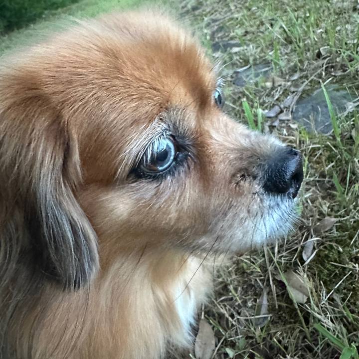 3de60587 a892 4f6e a344 2d5129f0bb2b 1759958176210