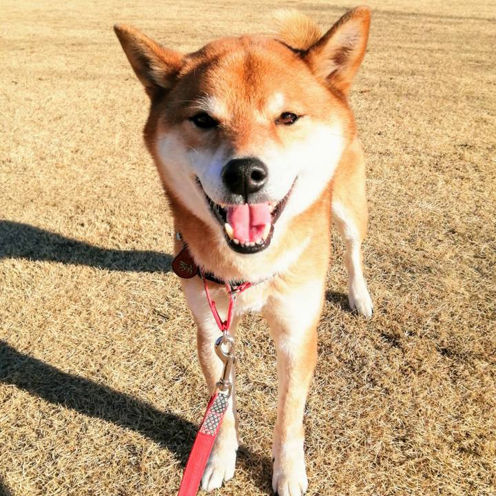 3de61ff9 f8bc 4107 91a1 86b47ec390ea 1612854167062