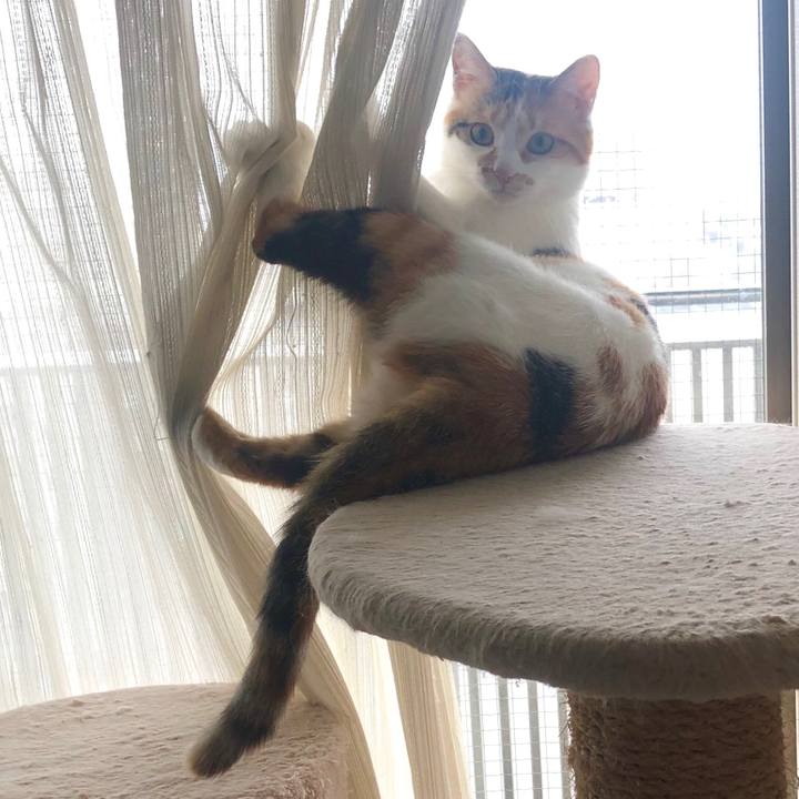 3de63409 7017 4a3d ab58 17a34e6e1f1c 1592019830022