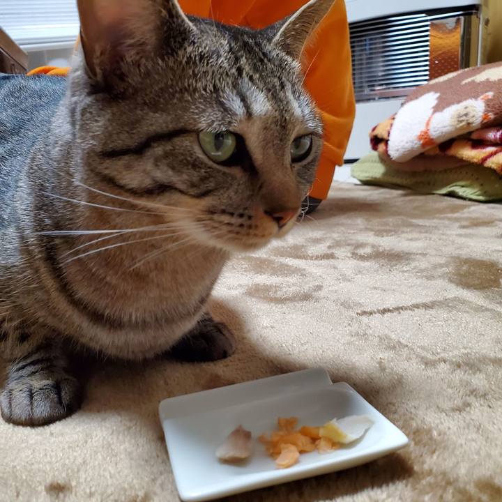 3de637b9 78ae 4b55 b332 7227200f930c 1712113347205