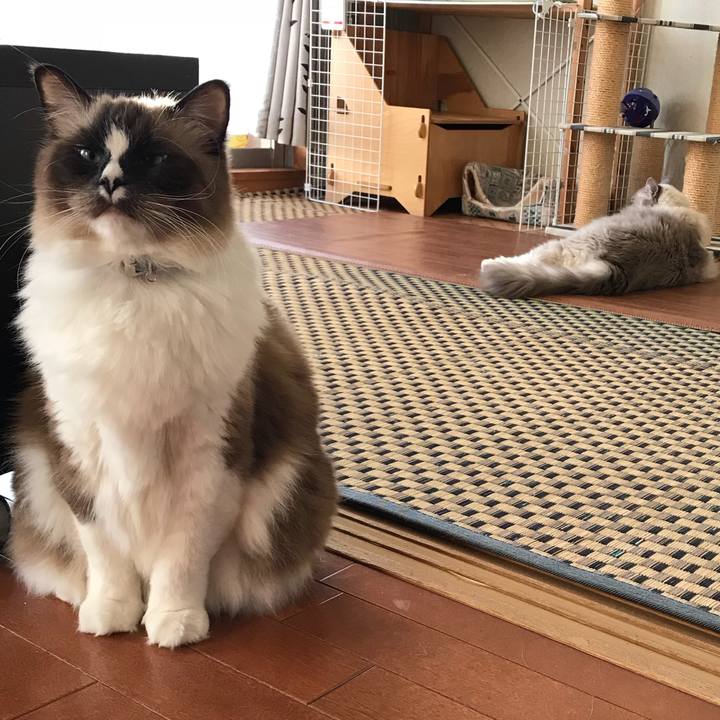 3de66364 7661 44db 9062 68c941e32749 1513264551933