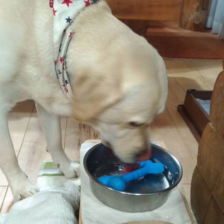 3de66508 f362 491f a29b c50e15682907 1517335239769