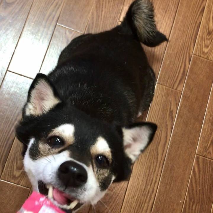 3de68563 479c 4303 ac97 9420a4521b36 1551277666059