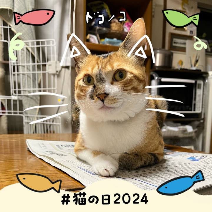 3de690c6 16aa 4111 82de 461512387ea4 1708555589751