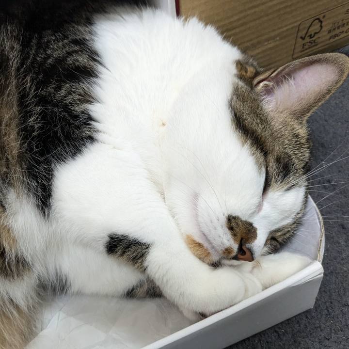 3de6a528 48bf 4f21 af63 031ec230f45d 1718930633634