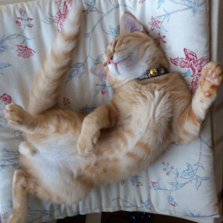 3de6ccc9 e2d5 44fb b81c e4239b329db4 1525131455006