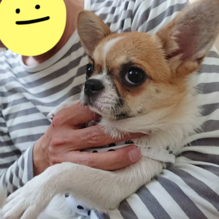 3de6cd21 fe2c 4709 a028 4837c1fd1b36 1623209489843