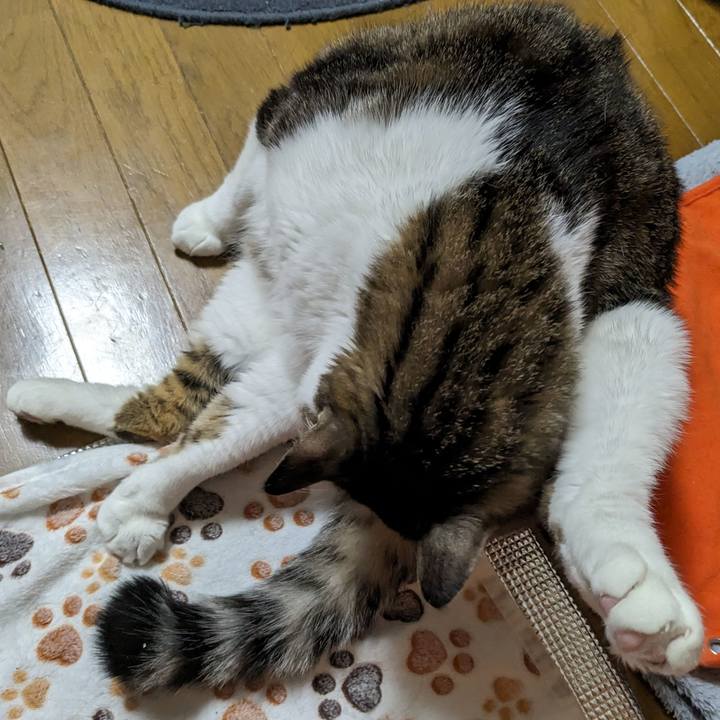 3de6ce4d 17f2 4b36 b6d3 357730dcd403 1704671003573