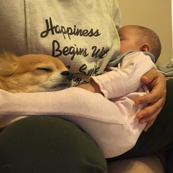 3de6f08a 35f1 4afa a2cb 296883b75511 1519727128092