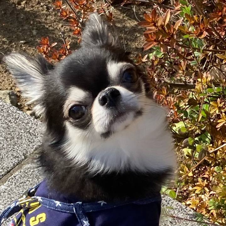 3de6f3dd 88bc 4262 a23e c450b3805ea4 1646489333828