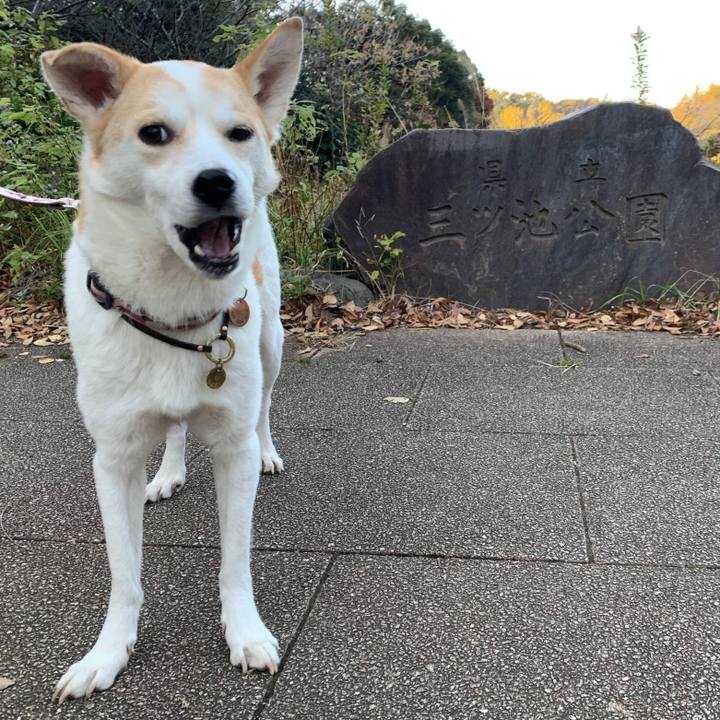 3de6fad8 9623 44f2 bcf4 909c0ce0c15b 1575506056296