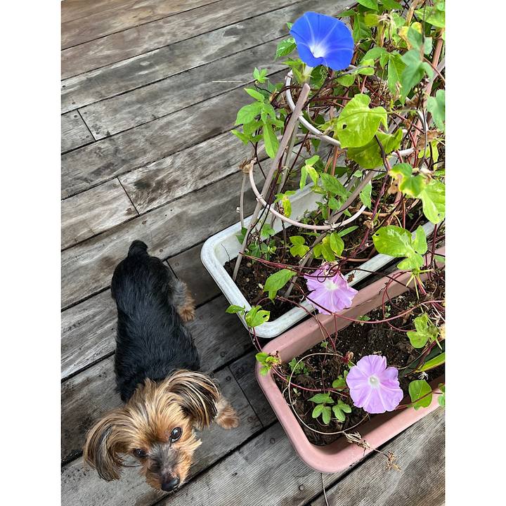 3de75ef0 836a 4c59 8e6f 8c7bff2bae62 1726780632658