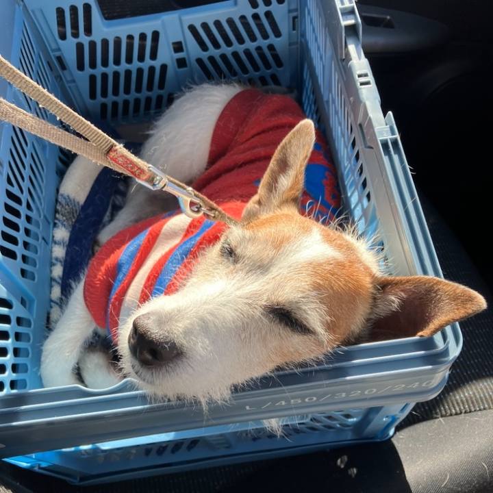 3de79b18 e3dc 4e3a 8877 407c5b9e1d9d 1677626655227