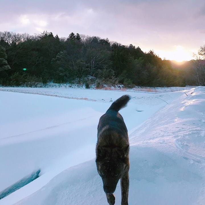 3de8476e 343c 4b88 8adc cda7a342cc9d 1518909610550