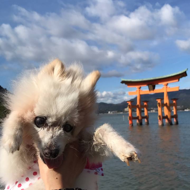 3de8901a 3b53 4c4e ae20 be93b14e0f65 1542539533957