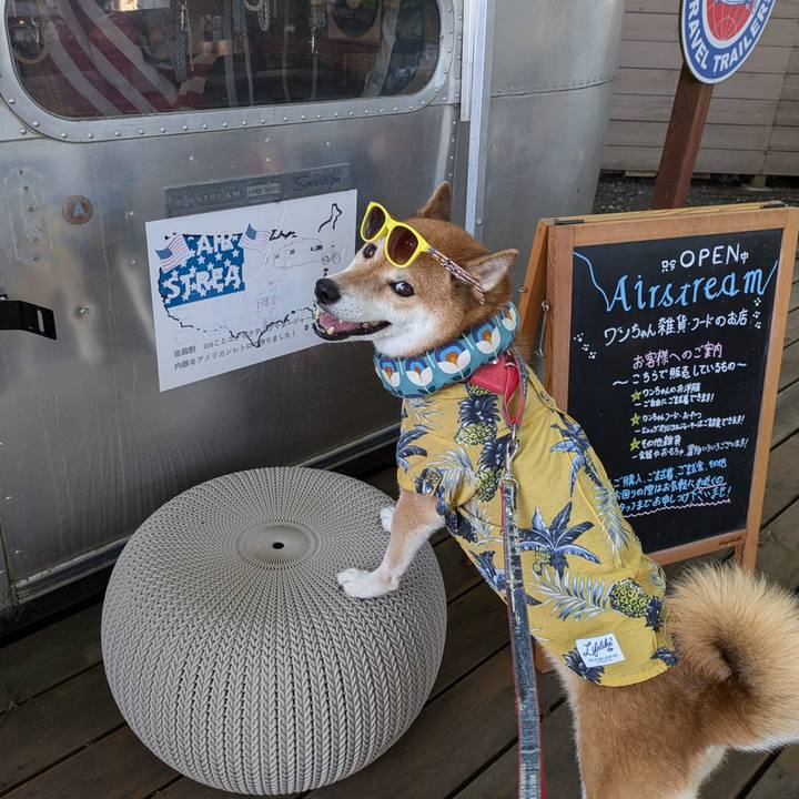 3de8b28c 5fb7 4d6f 9452 05c44146729a 1722523937036