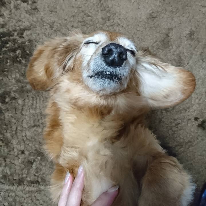 3de94070 6c11 442f ac1c 0e55c8a61fc9 1606060111597