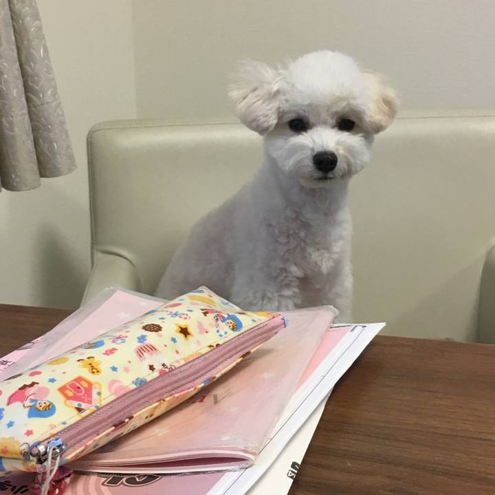 3de968ae a8cf 4408 8080 09211065a6cb 1525819818507