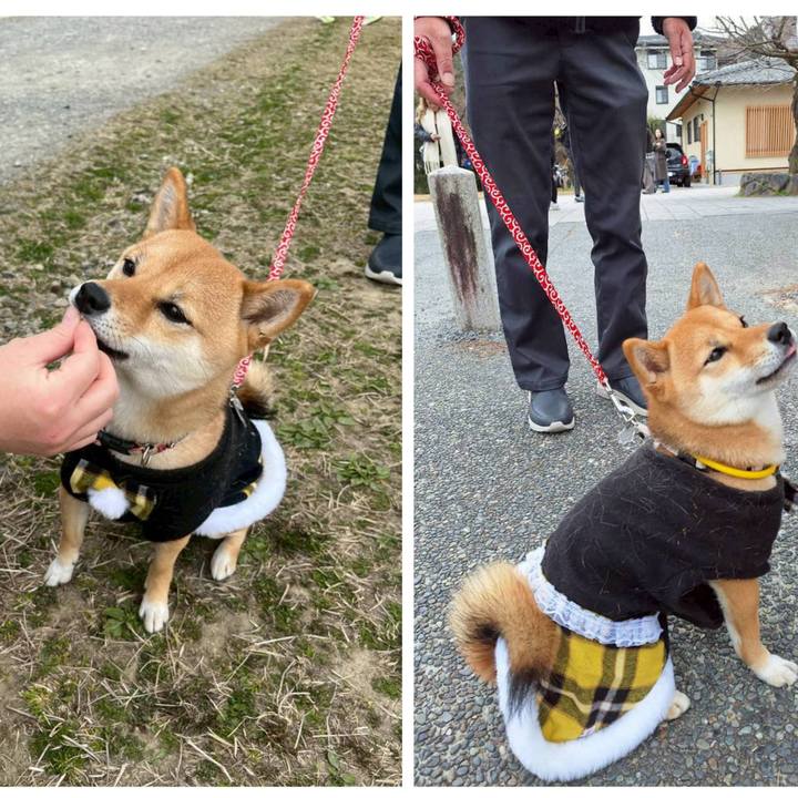 3de99c08 0938 438e b63b 32a58fdab35d 1773572671171