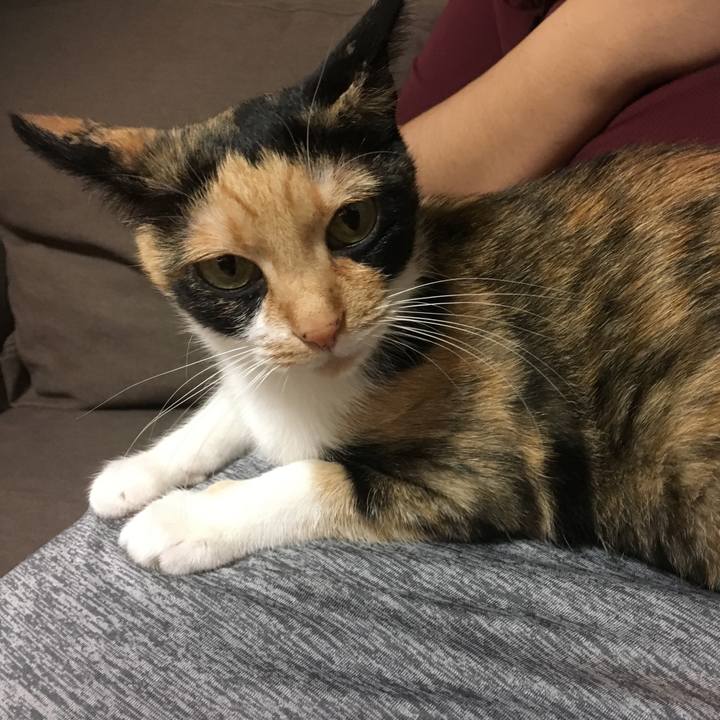 3de9b766 7e7e 4152 b06c 8f8a75c4f682 1509102450248