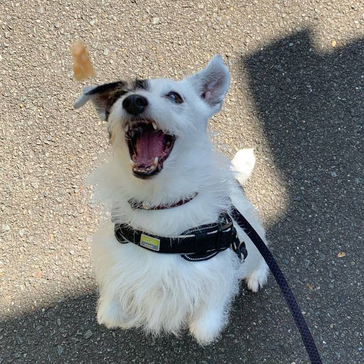 3de9b884 73ef 4b63 8319 c5d35619f04a 1750549793214