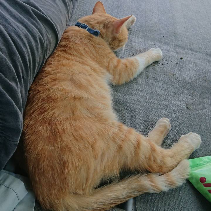 3de9cc9b c684 48e5 8058 34e771f42fe2 1559371832017