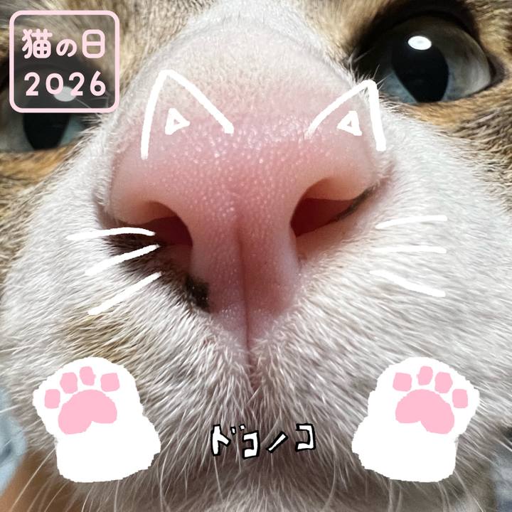 3de9d1c2 1e66 45d7 a818 1792a7c8d958 1771706887839