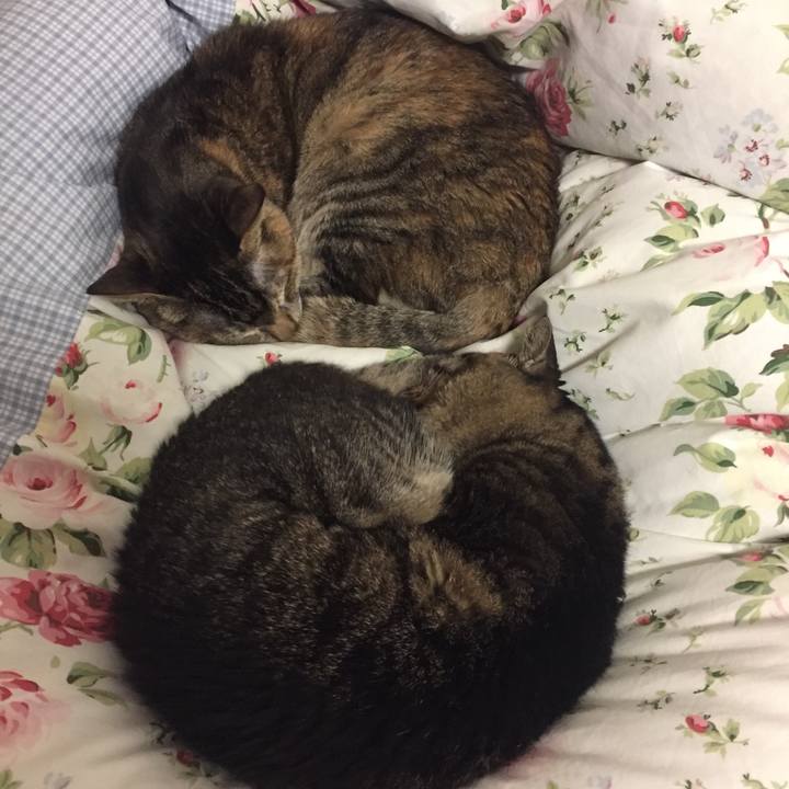 3de9d631 06b0 4a51 9110 d1c99cb77f39 1520493405577