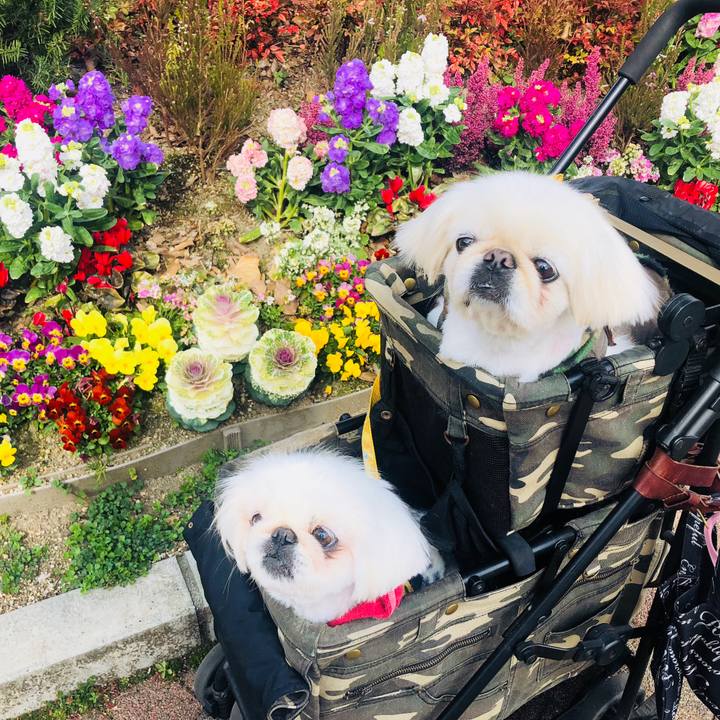 3de9d74c 1a0b 4d7c 97a7 6ab66d5d7a58 1613563724707