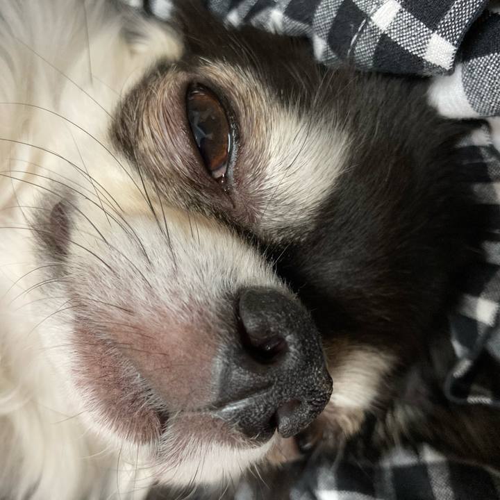 3de9e209 1d09 4b2e 9c88 1f44b5c21486 1675004507461