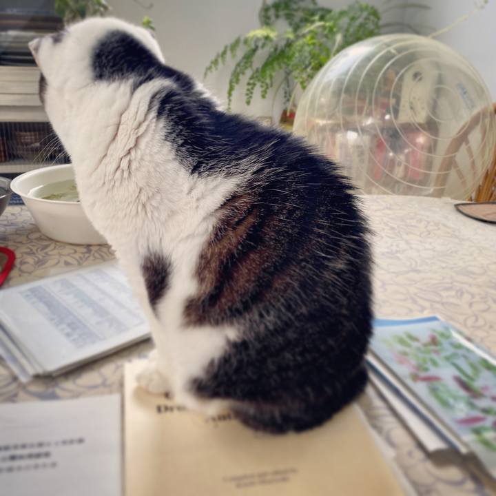 3de9fa4e 8f6b 4faf bed9 acbfd0520090 1588041802151