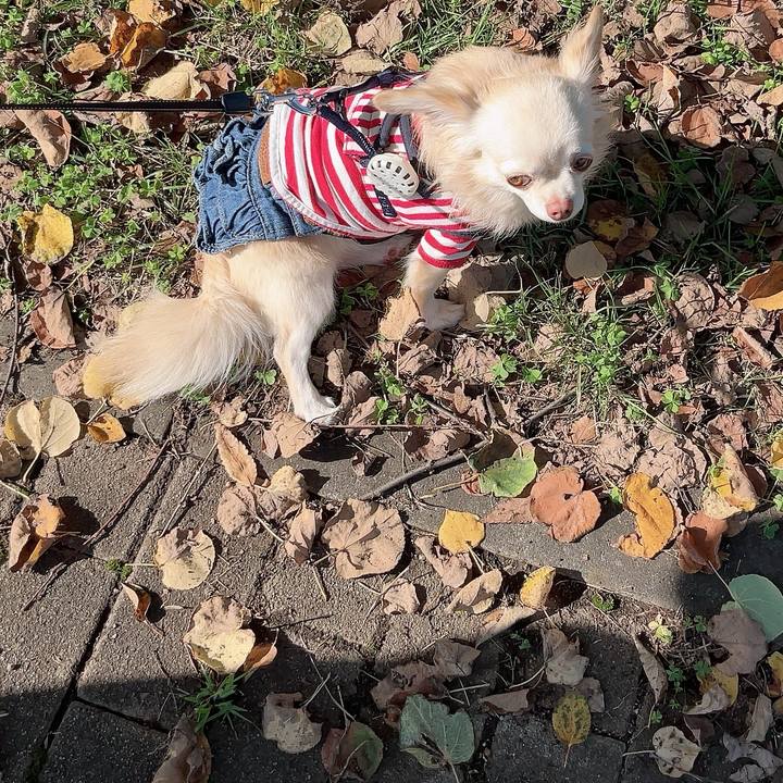 3dea0e67 e130 4c80 9e5e 497cb8495833 1730616862184