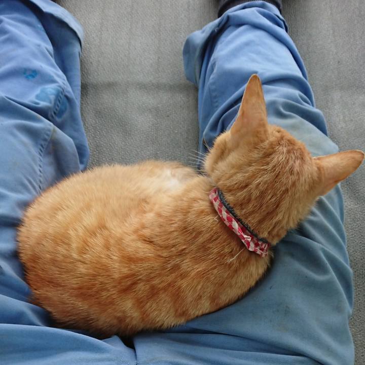 3dea1606 bc30 4cb3 ad9a b64f6058fe2b 1560071220084