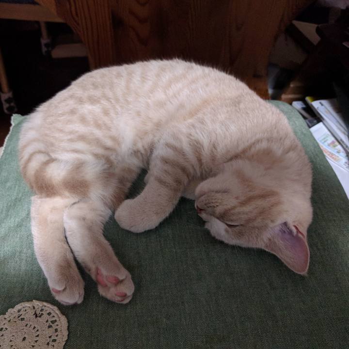 3dea477c 9bb4 4891 b748 fb332b54f779 1508631942937