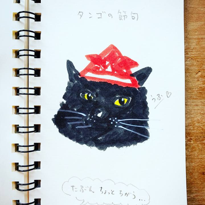 3dea5113 175e 48c8 9128 0b773349c7b6 1588371599957