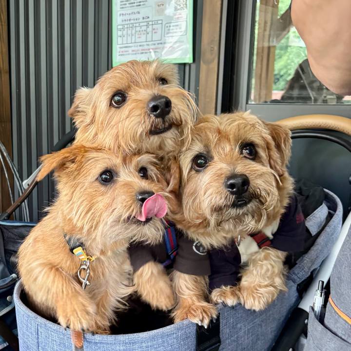 3deab294 9003 4168 a1ef c469192f8987 1762617963741