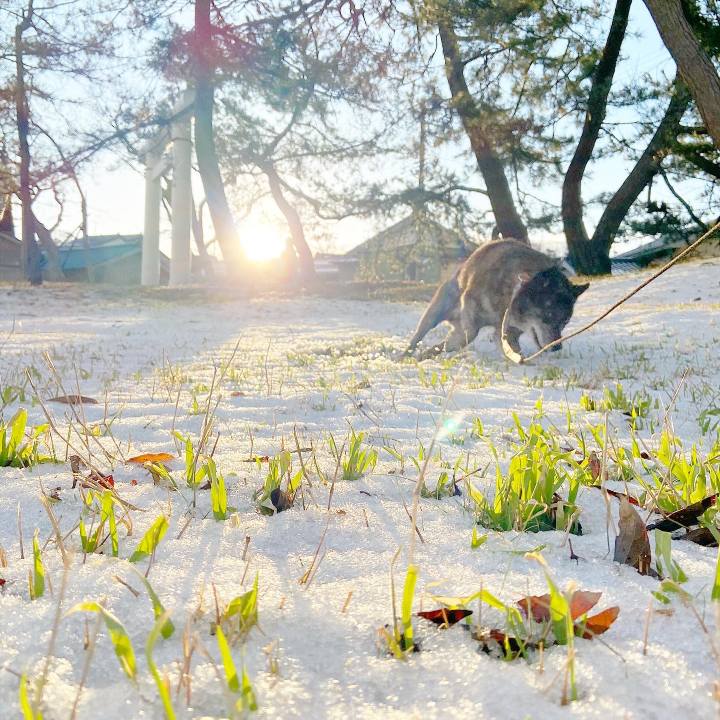 3deab4a9 6013 4b1b 90d6 b33fc5e9bee4 1612916839344