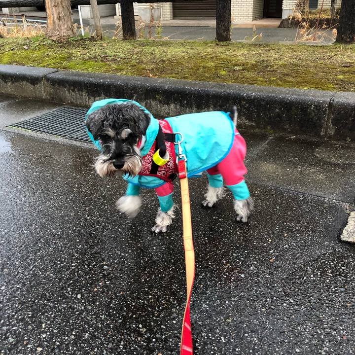 3deab6b2 e285 4e84 8201 b844eb4179d5 1577665610413