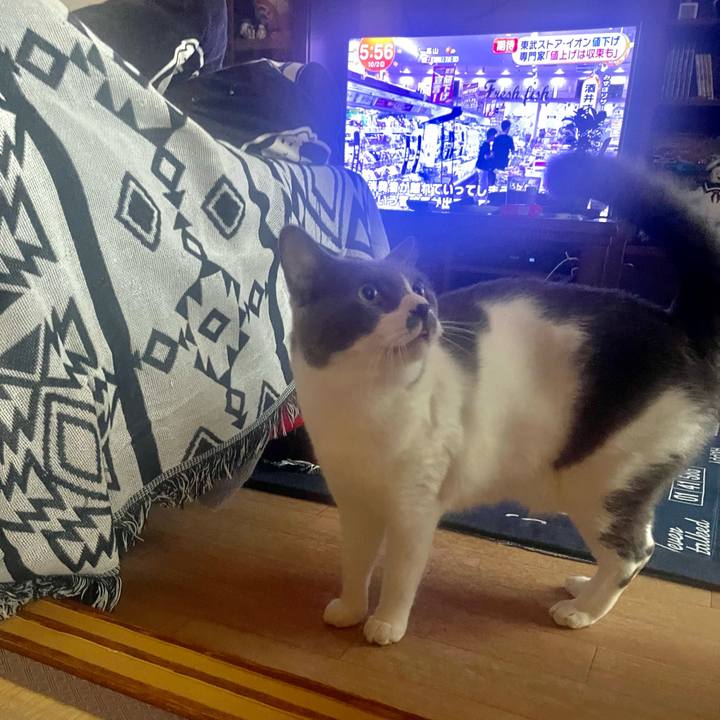 3deac0f7 8eca 4100 8ca6 da07d34606e6 1696193887688