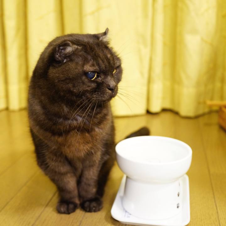 3dead217 0a35 4c4c 90f4 d45207bac8af 1643640224189