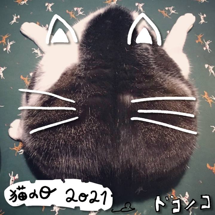 3deb24e9 d38f 4ccb 89f4 b3ced7f8a7c7 1613972364559