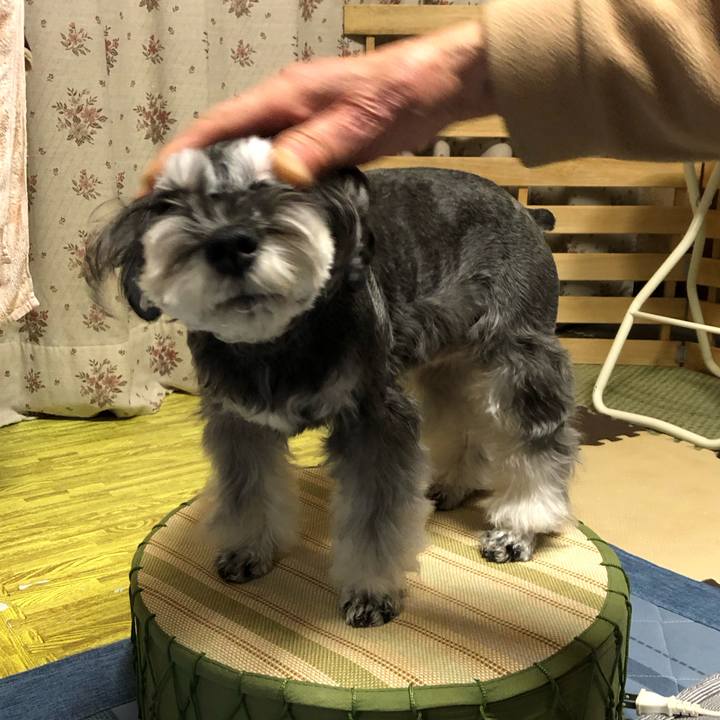 3deb26df d188 461e b6b3 9cf2456a1056 1703336523286