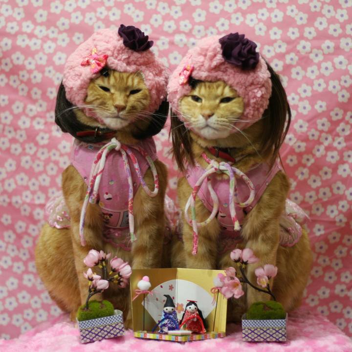 3deb7388 79dc 4217 85fe 0c5224f1a19f 1520003191608