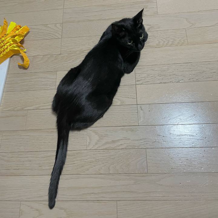 3deb8d42 6600 49d4 85cc 590352643926 1690542751359