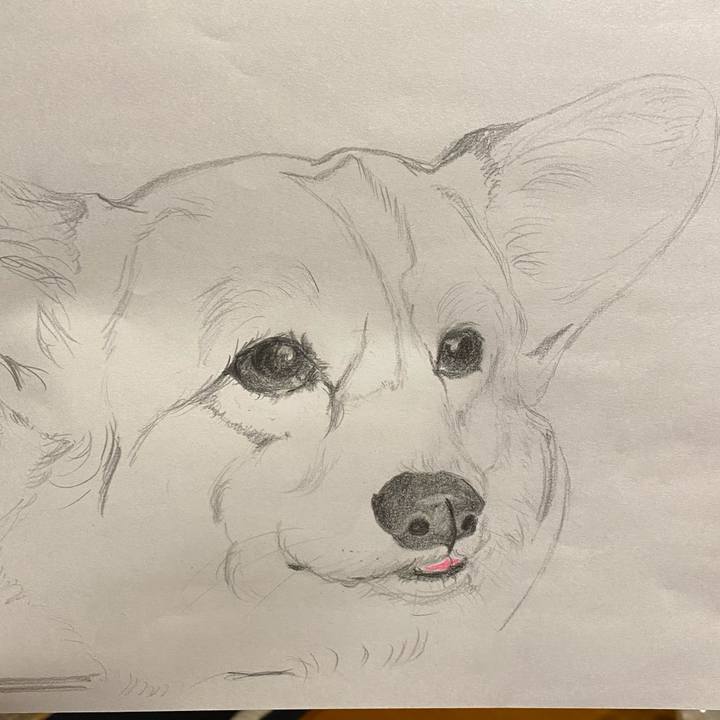 3deb99e7 8438 4183 bba9 0ab8345383c1 1614954506104