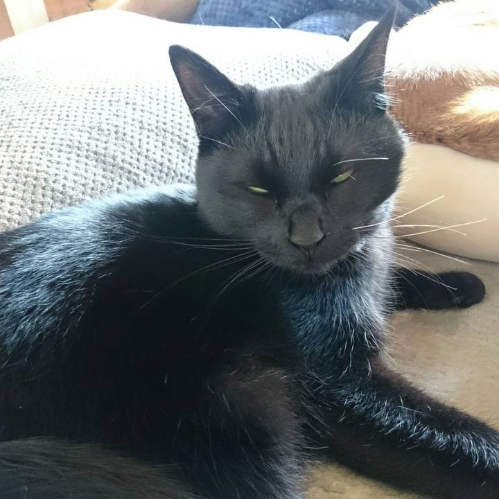 3deba108 0e87 40e1 b611 05b82822807c 1518921460751