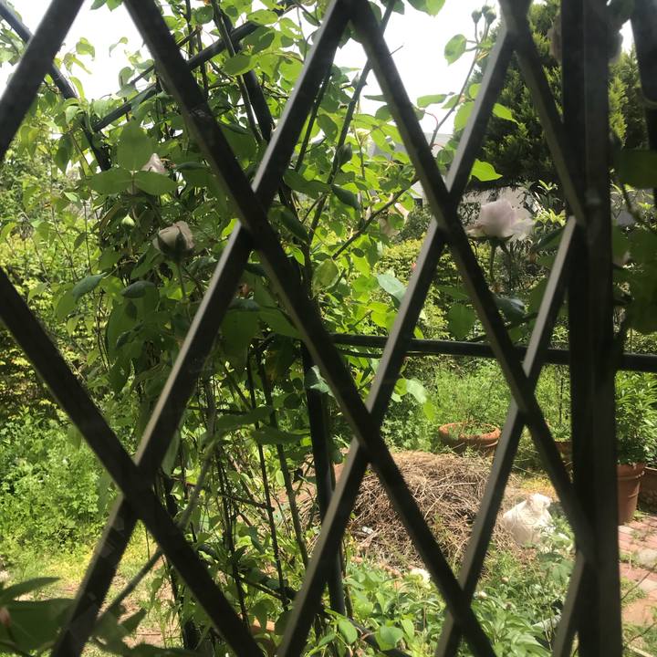 3deba891 6ffa 425d 833e 6357dfa55aa8 1523878346330