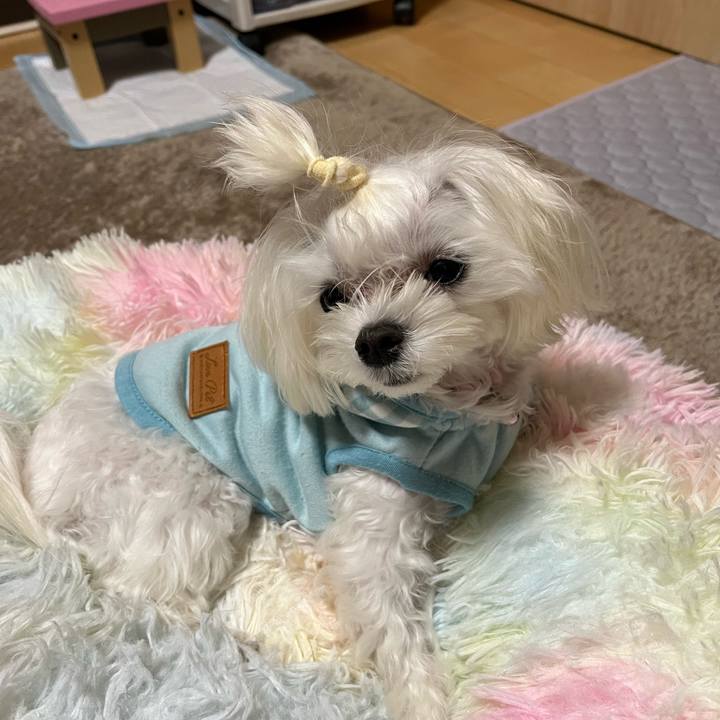 3debe51c 729e 4277 9b11 9f605af376c4 1731921475088